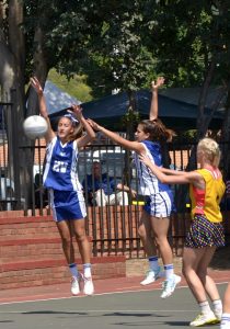 NewsGAffiesNetbal