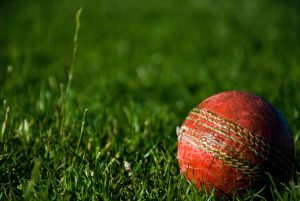Old Cricket Ball on Grass