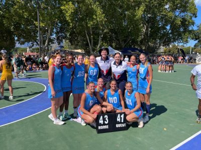 Valia-gees vier hoogty op die netbalbaan